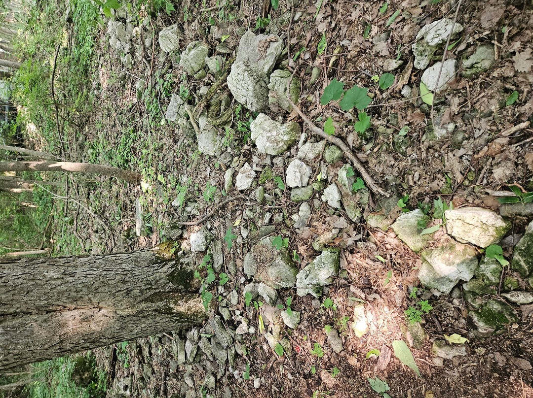 Jane Coates Wildflower Trail-Put in Bay必去景点