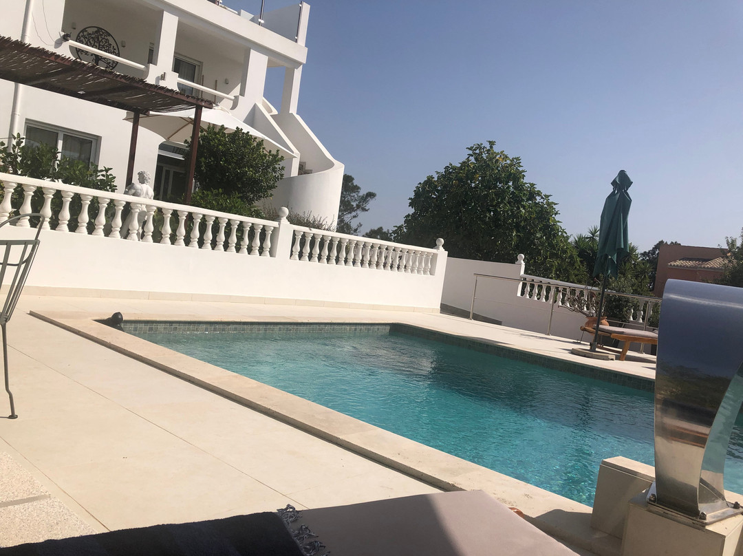 Palm View Guesthouse主图