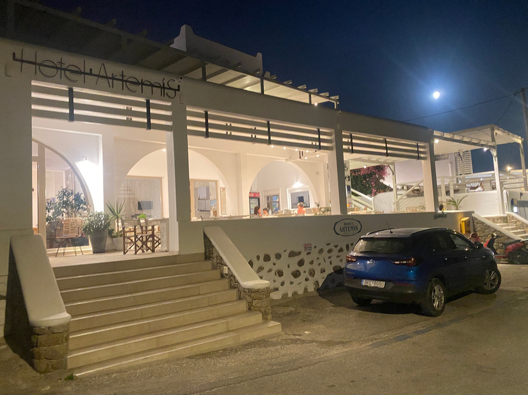 Artemis Hotel主图