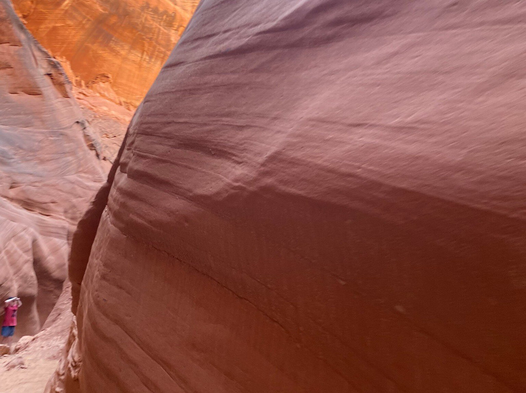 Kayak Lake Powell - Rentals and Day Tours景点图片