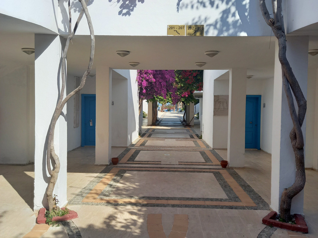 Ladonia Hotels Zemda主图