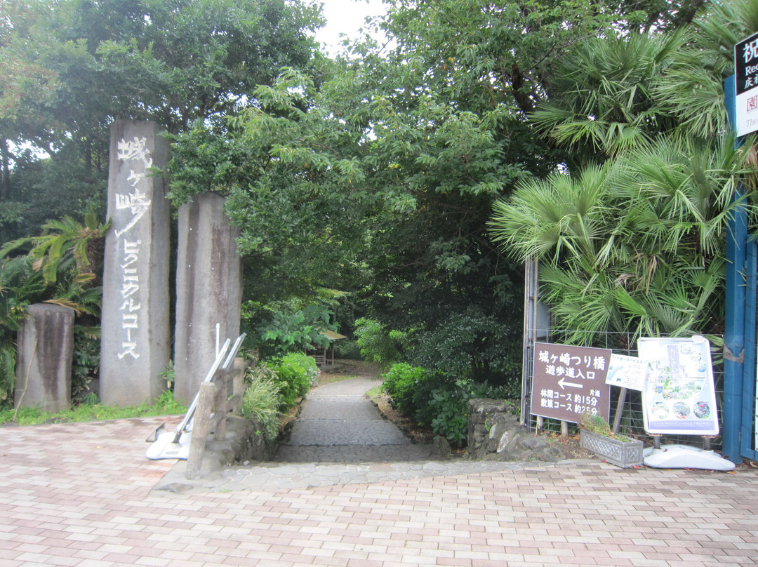Jogasaki Beach Picnical Course景点图片