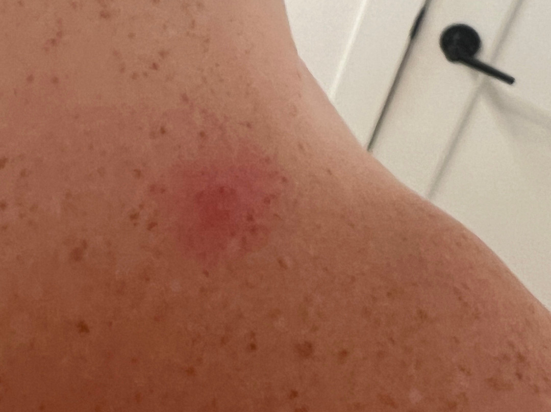 The Sturgis Motel主图