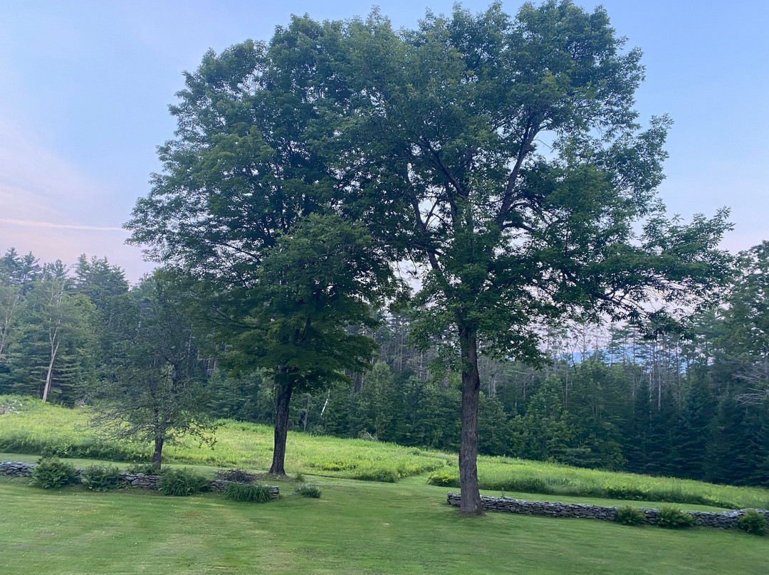 Manchester Designer Outlets-曼彻斯特必去景点