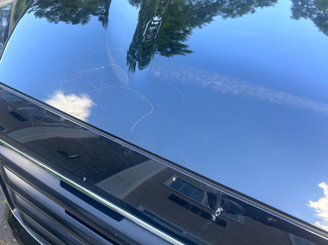 Best Western Cooperstown Inn & Suites主图