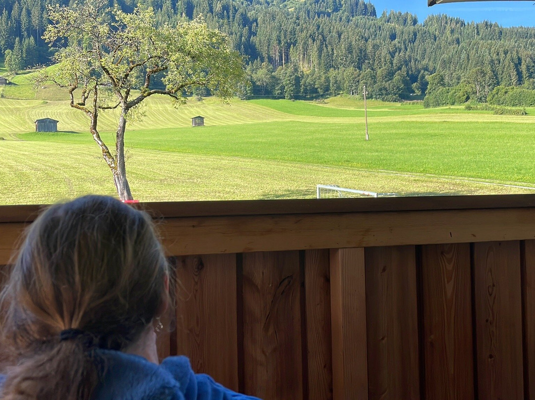 Hotel & Alpin Lodge Der Wastlhof主图