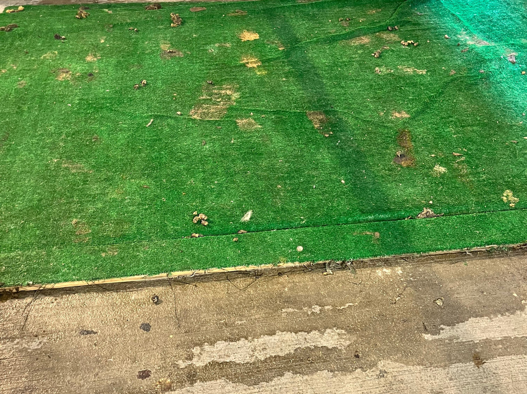 Lady Luck Casino Black Hawk主图