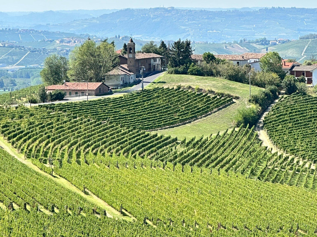 Langa Wine Tour-阿尔巴必去景点