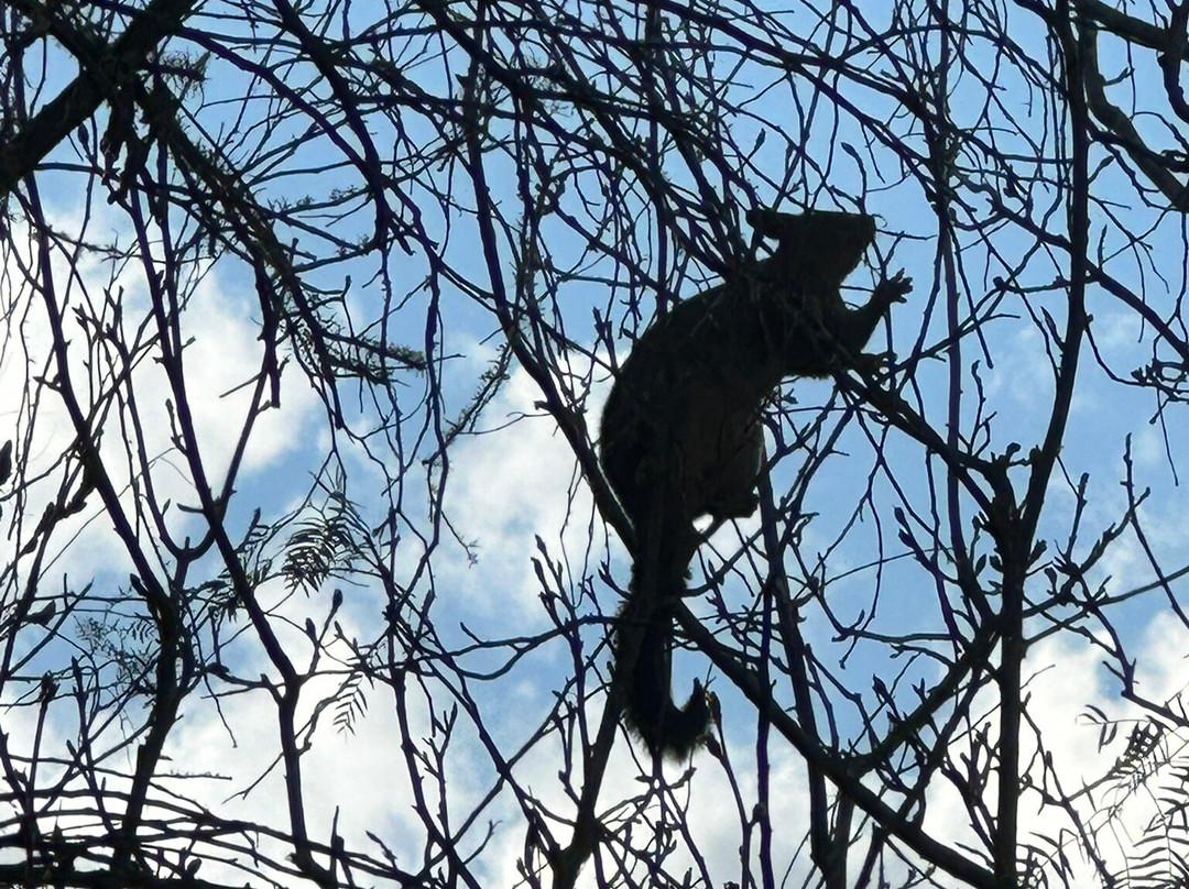 Copeland House主图