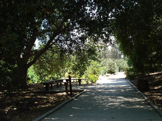 Shipley Nature Center-亨廷顿海滩必去景点