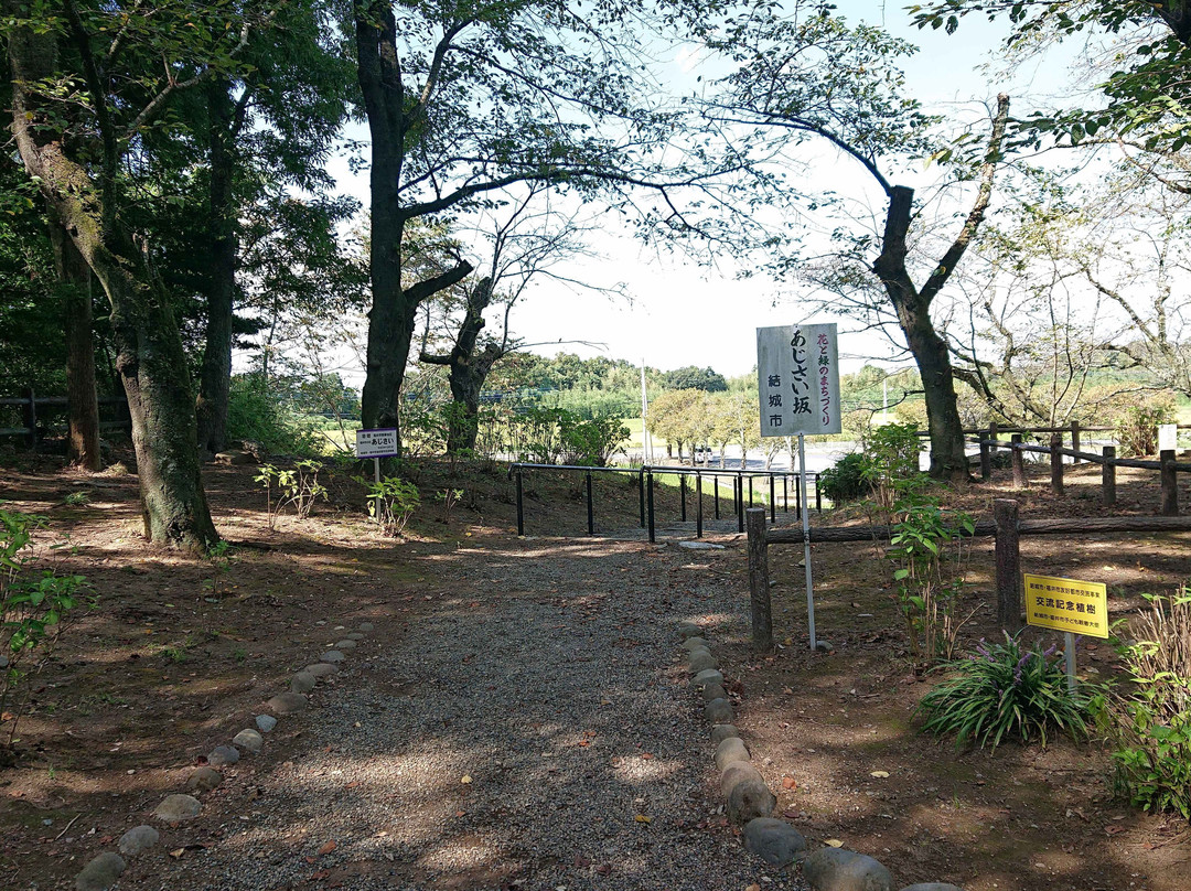 Yukijo Castle Site Park-结城市必去景点