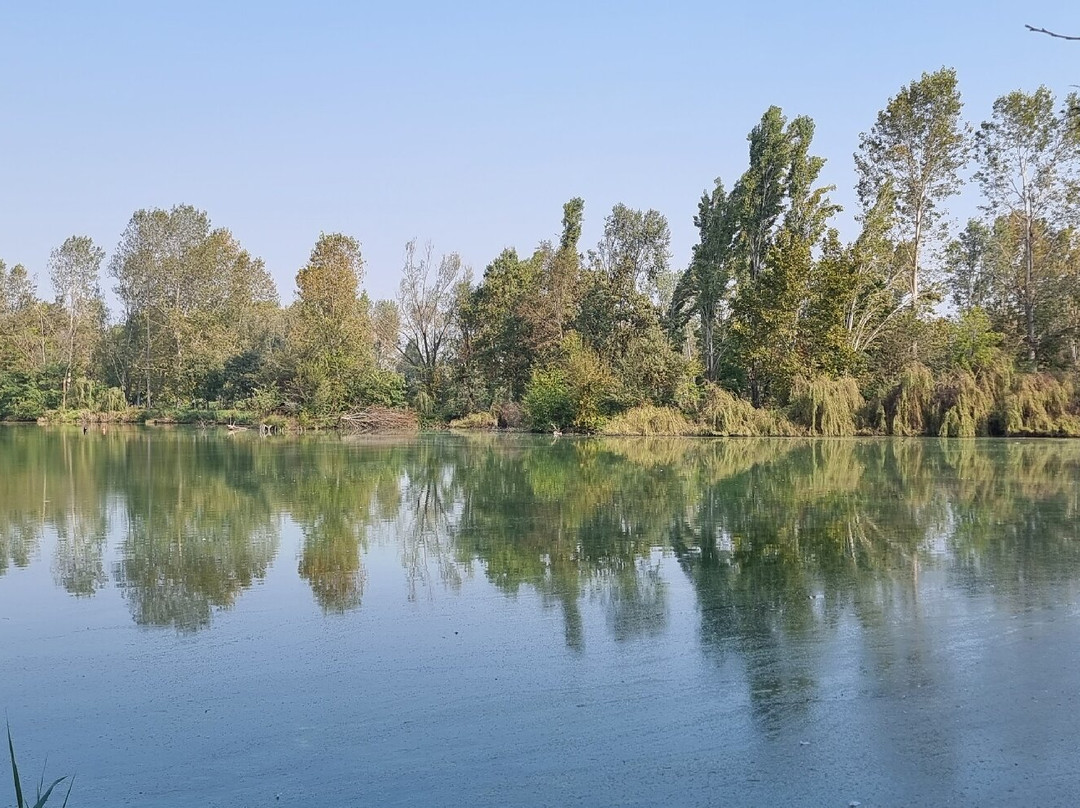 Parco Comunale 3 Laghi景点图片