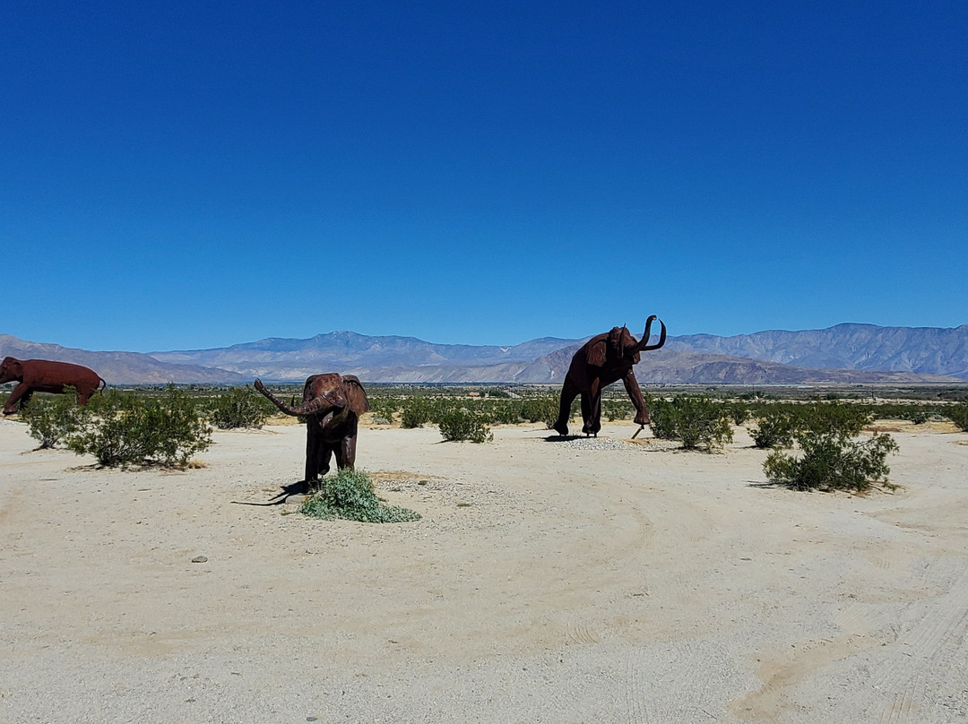 Borrego Springs Farmers Market-波瑞戈泉必去景点