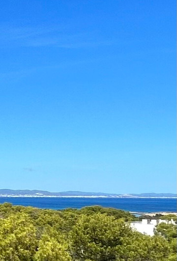 五花酒店（Meliá Collection 成员）主图