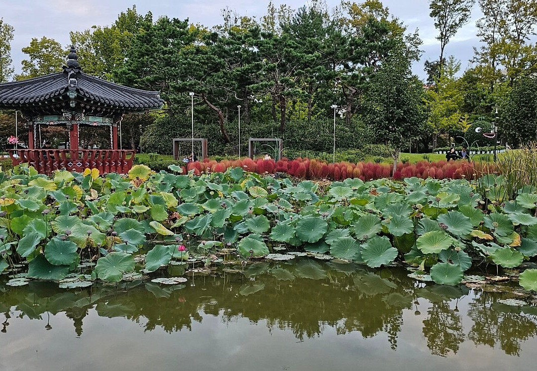 Yurim Park-大田必去景点