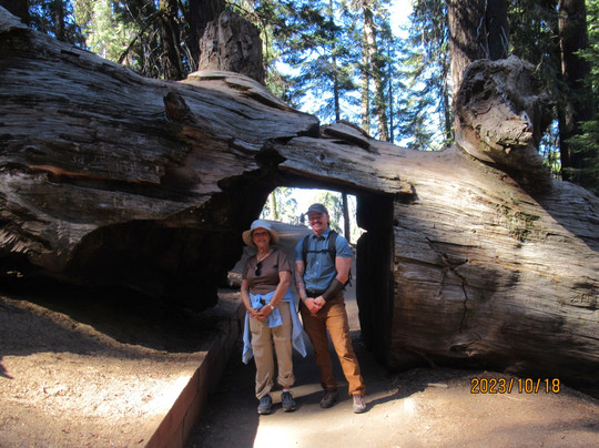 Good Trip Adventures Yellowstone-西黄石镇必去景点