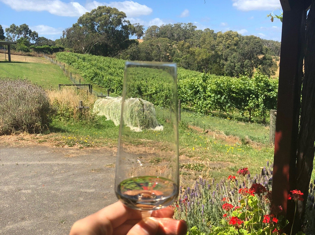 Otway Winery Tours-洛恩必去景点