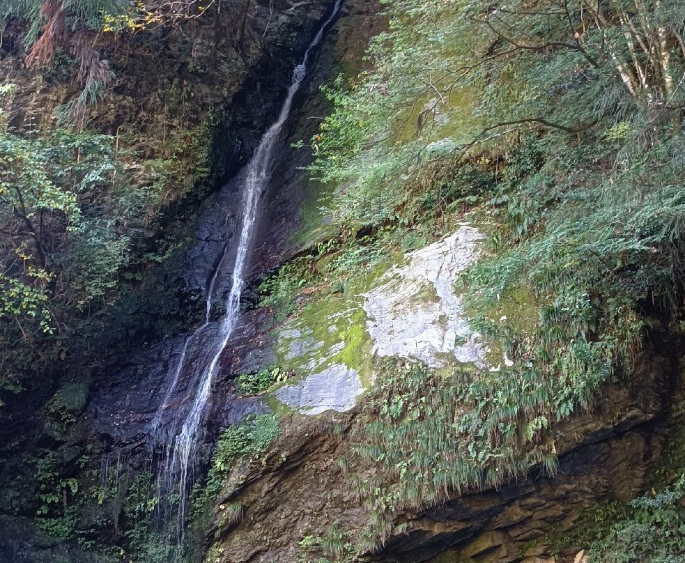 Biwa Waterfall-三好市必去景点