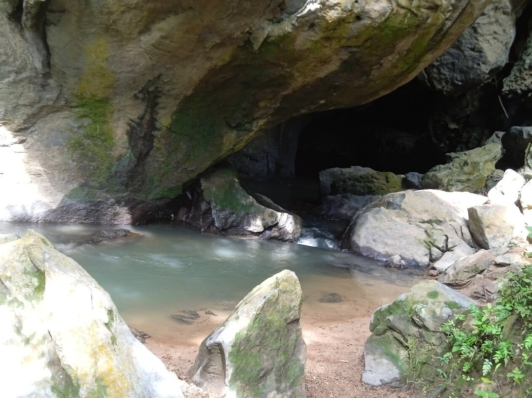 Parque Nacional Viñales.-维纳勒斯必去景点