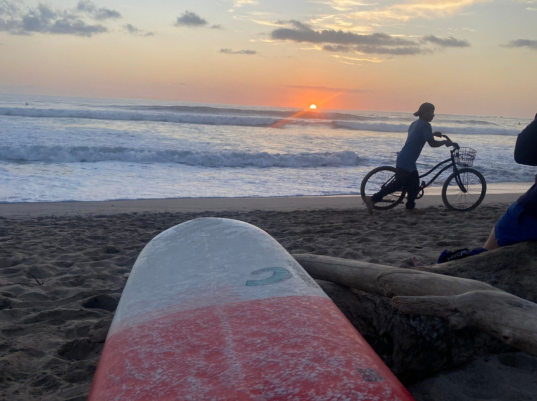 The Gilded Iguana Surf Club景点图片