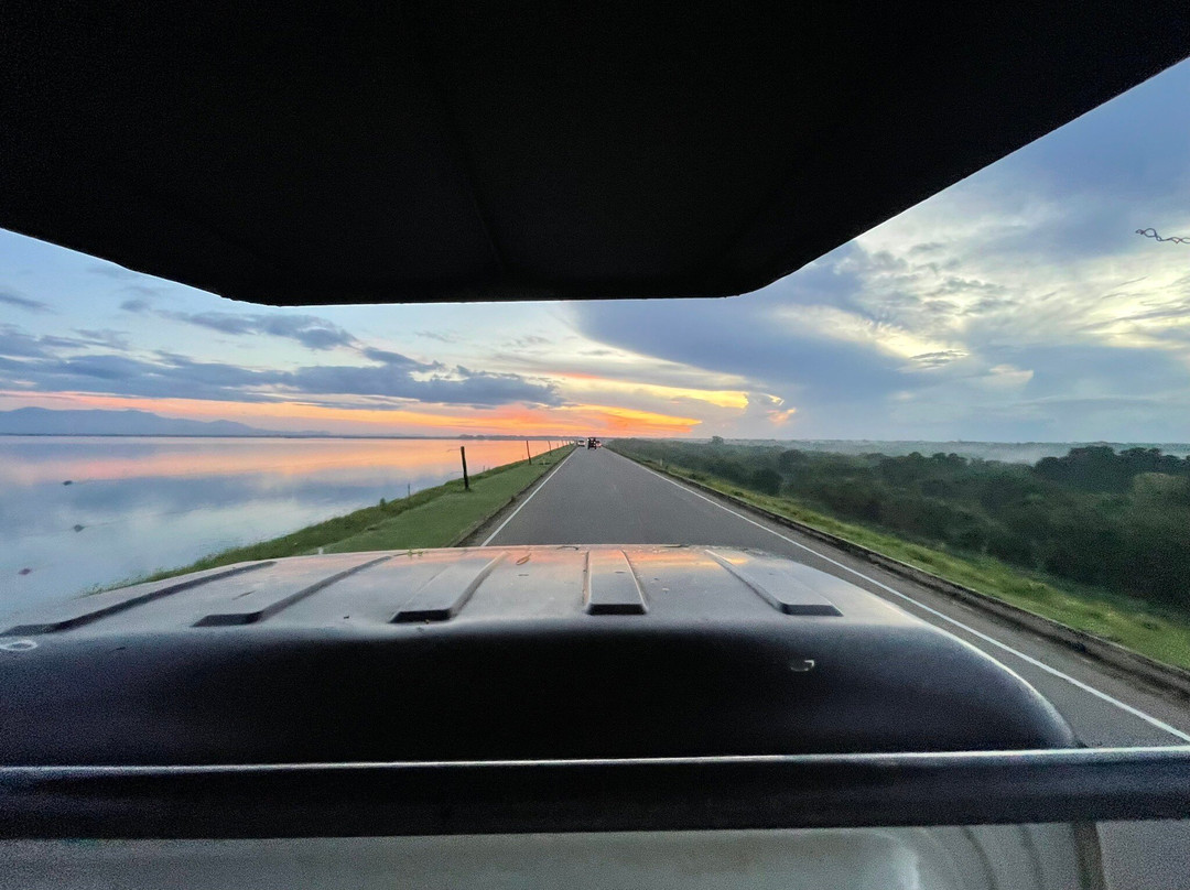 Udawalawe Wild Safari Tours-乌达瓦拉瓦必去景点