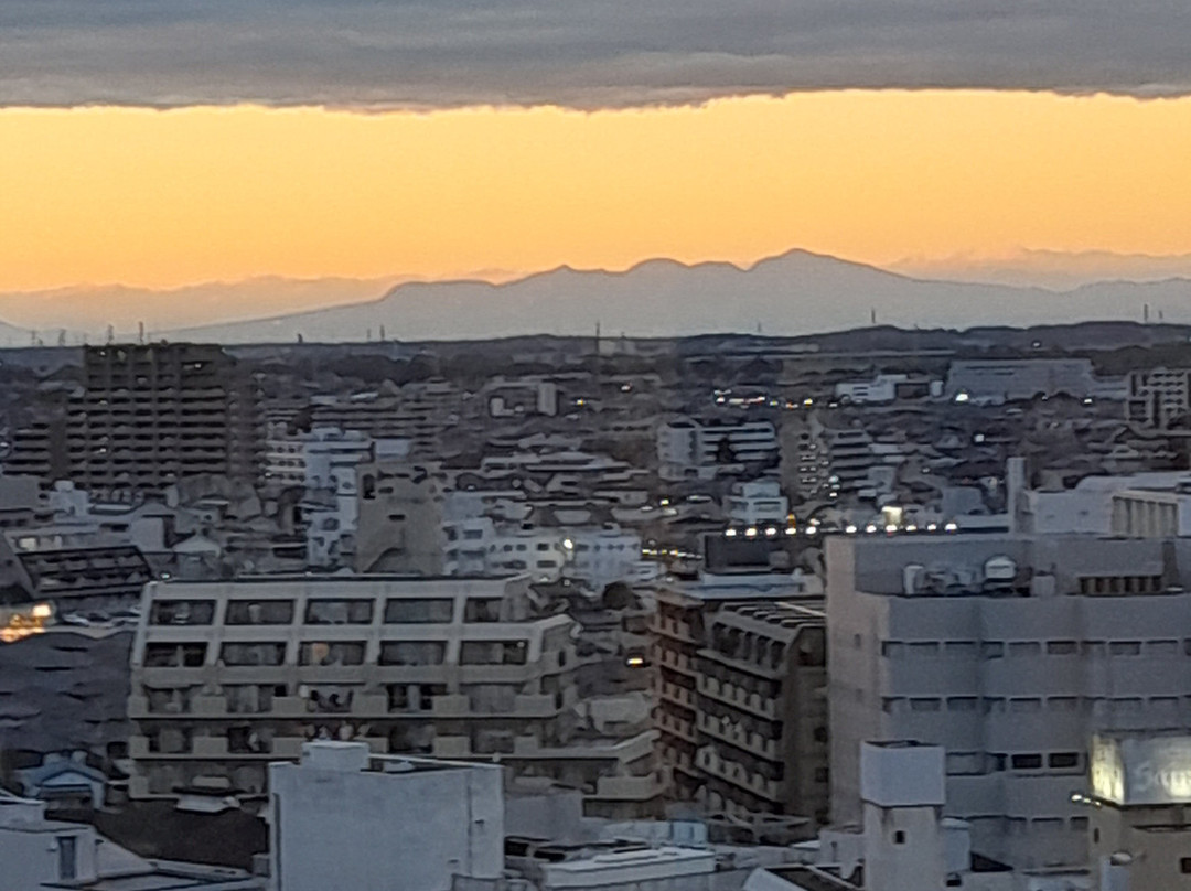 Kawagoe Tobu Hotel主图