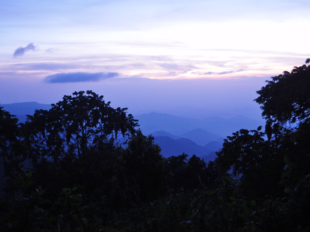 Massif Montane Expedition, Mt Elgon