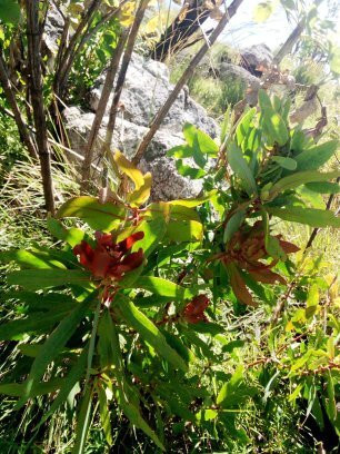 Francis Atiya-姆兰杰必去景点