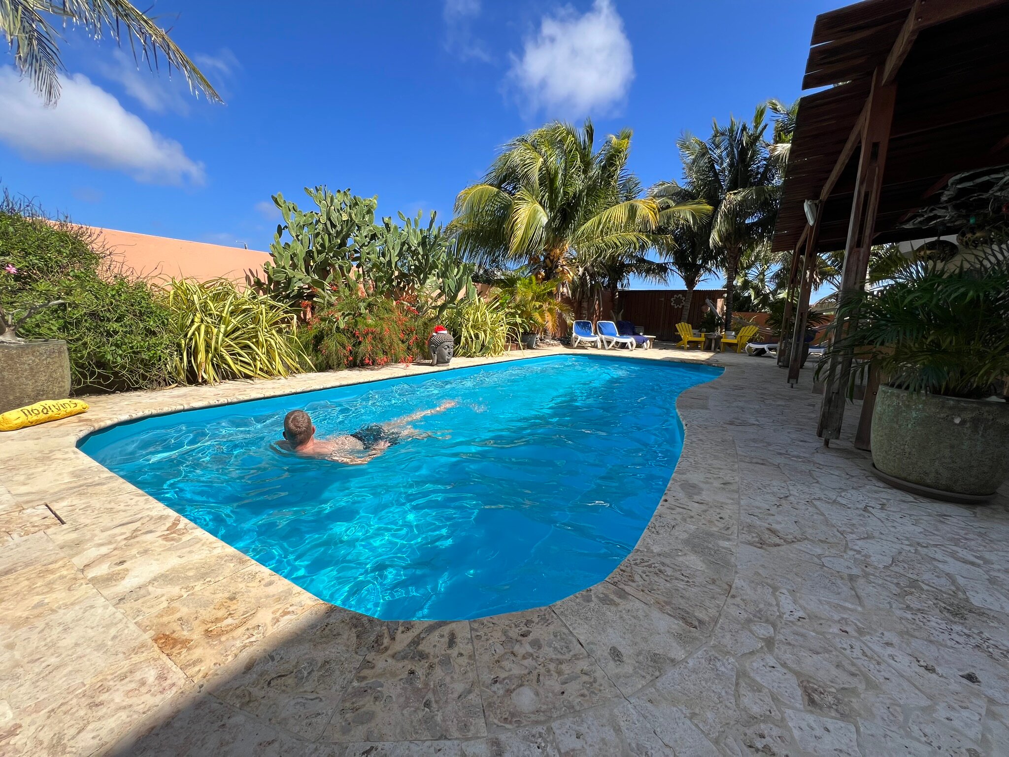 Oasis Guesthouse Bonaire-浴室