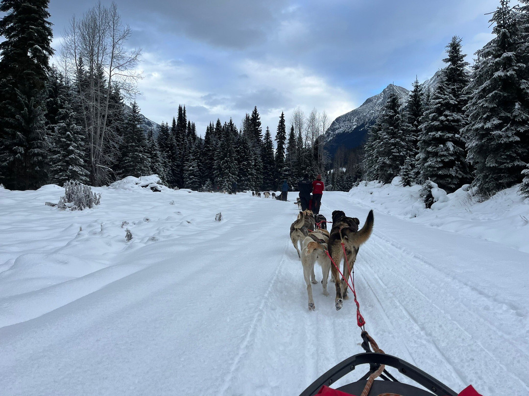 Cold Fire Creek Dogsledding-维尔蒙特必去景点