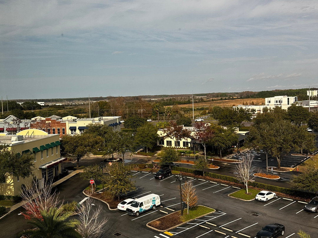 Hilton Garden Inn Tampa Suncoast Parkway主图