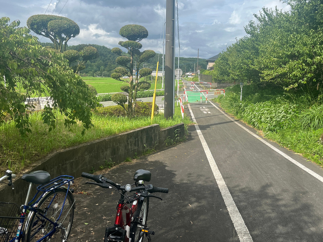 Yuka Family Road-山鹿市必去景点