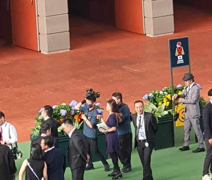 Shatin Racecourse Experience-香港必去景点