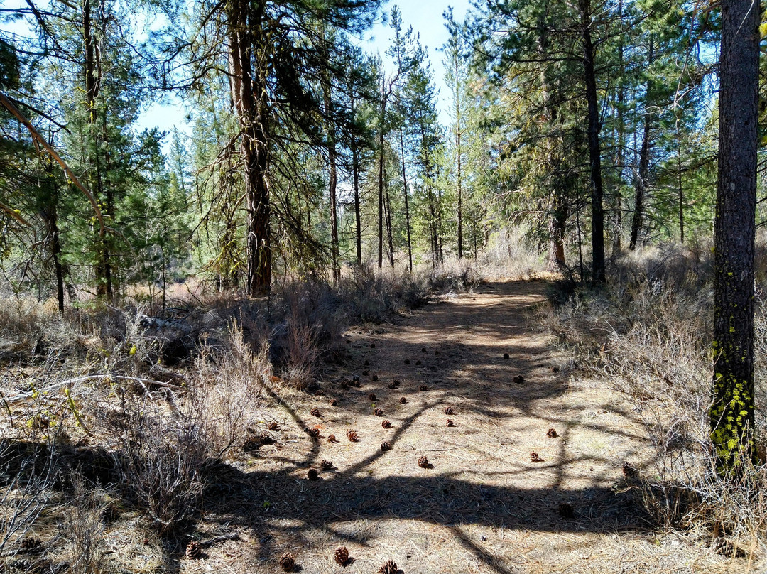 Williamson River Trail-Chiloquin必去景点