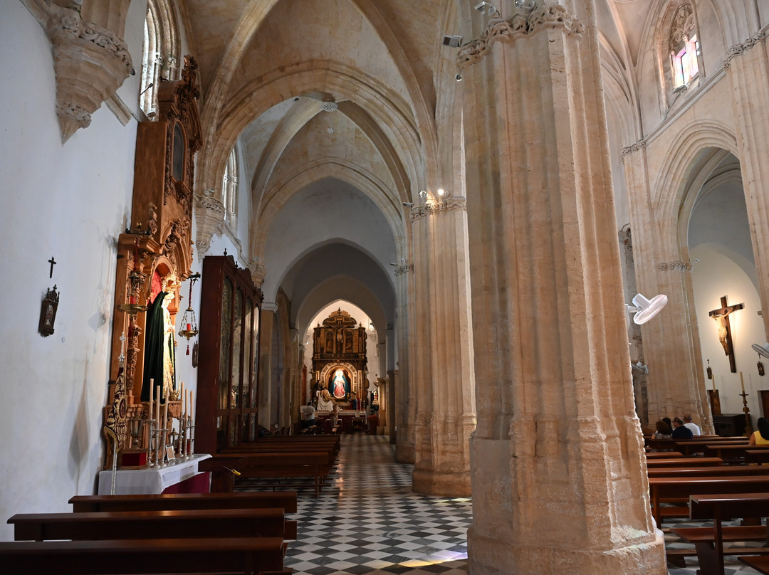 Parroquia del Divino Salvador景点图片