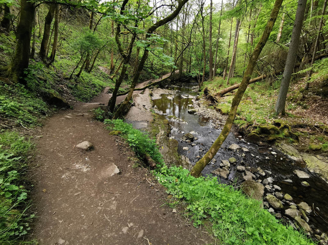 Summerhill Force And Gibsons Cave-Middleton in Teesdale必去景点