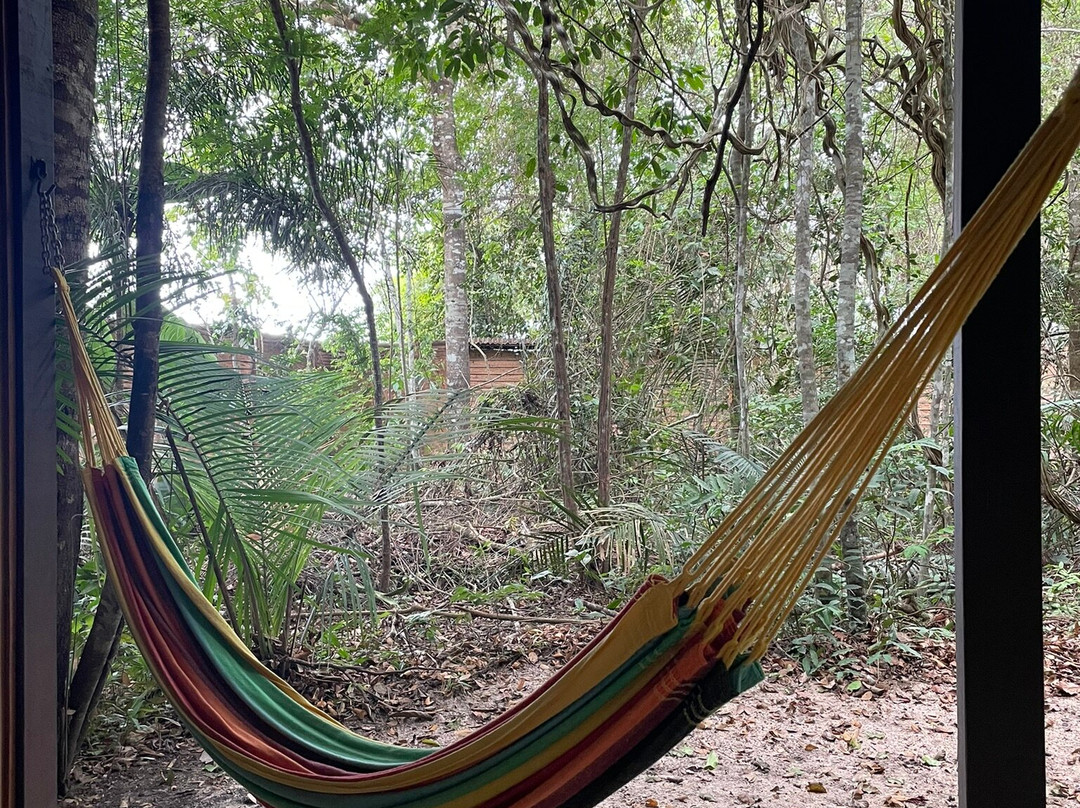 Vila de Alter Pousada Boutique Amazonia主图