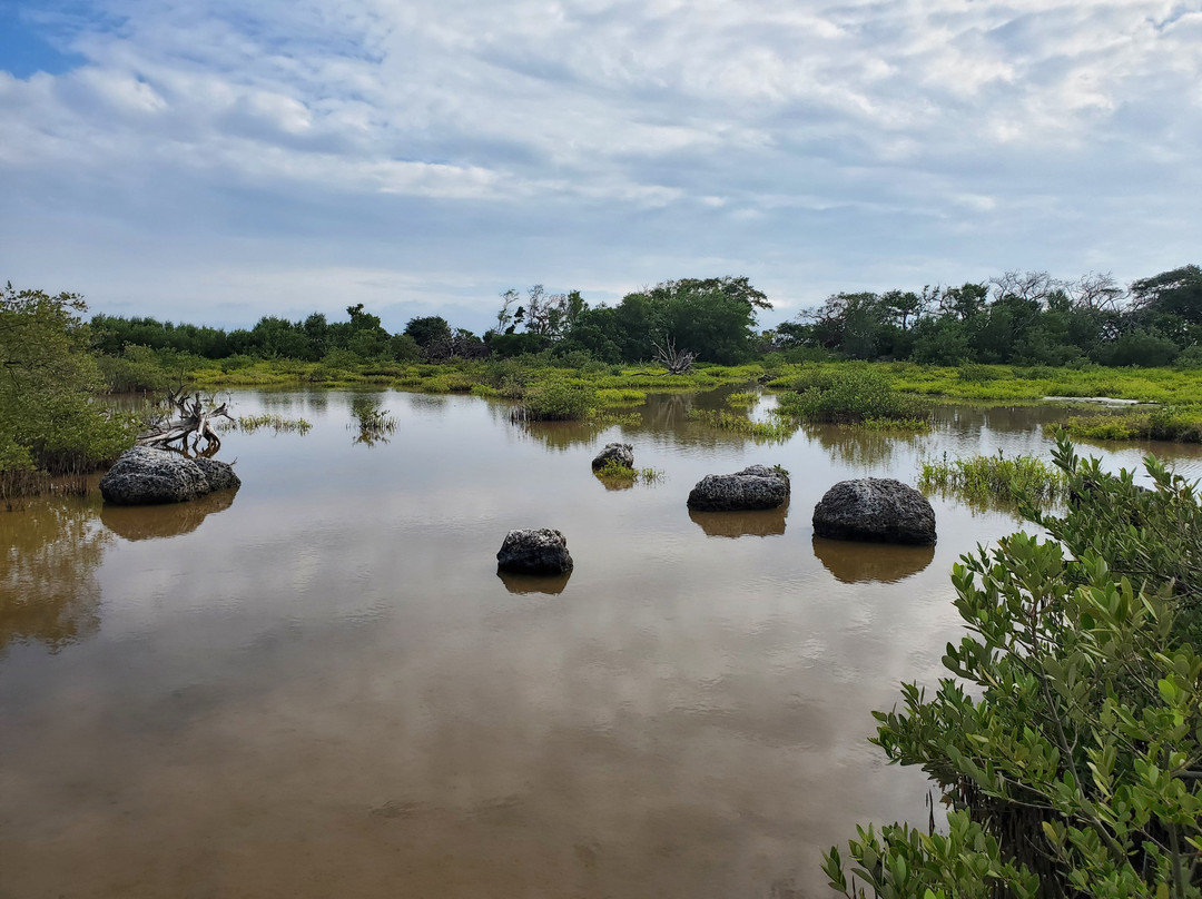 National Key Deer Refuge-Big Pine Key必去景点