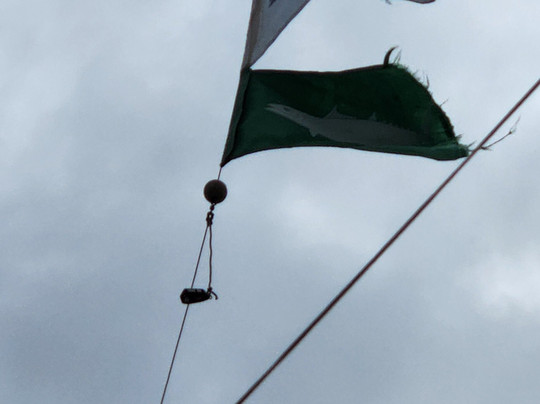 Ruckus Sportfishing and Diving-火奴鲁鲁必去景点