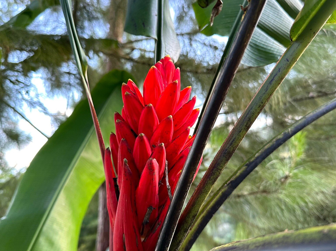 Mirador el Chihuaco-Villa Rica必去景点