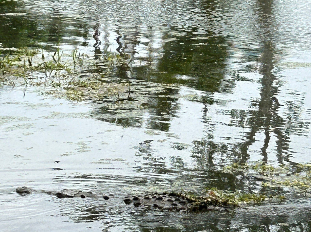 Flamingos Golf-Bucerias必去景点