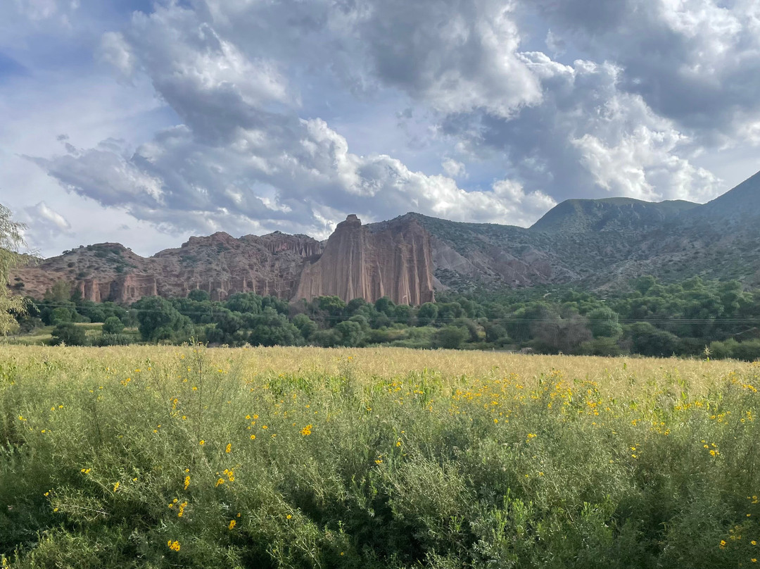 Fca Empresa Ferroviaria Andina S.A-奥鲁罗必去景点