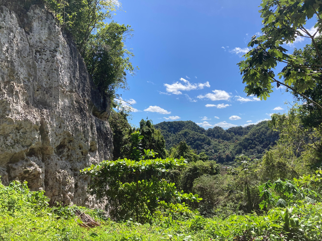 Roca Norte Outdoor Climbing Gym-Vega Baja必去景点