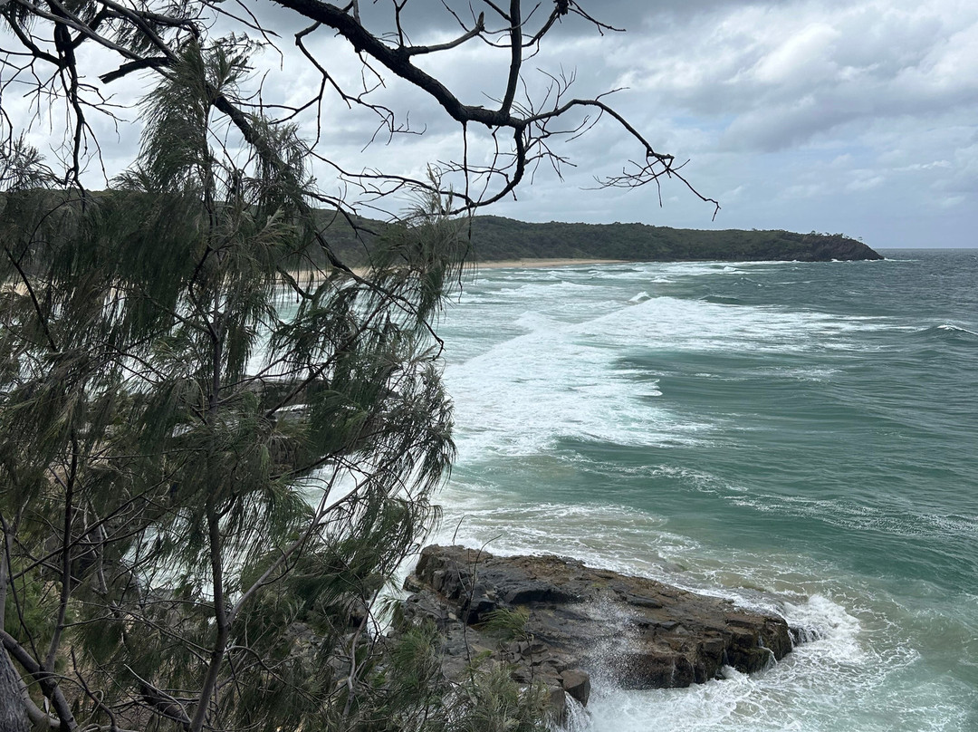 Noosa Farmers Market-努沙必去景点