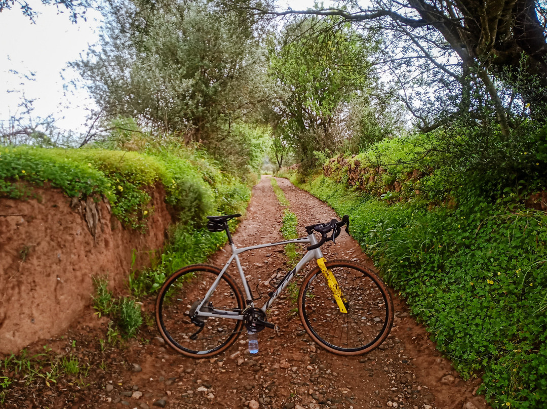 Bikesul景点图片