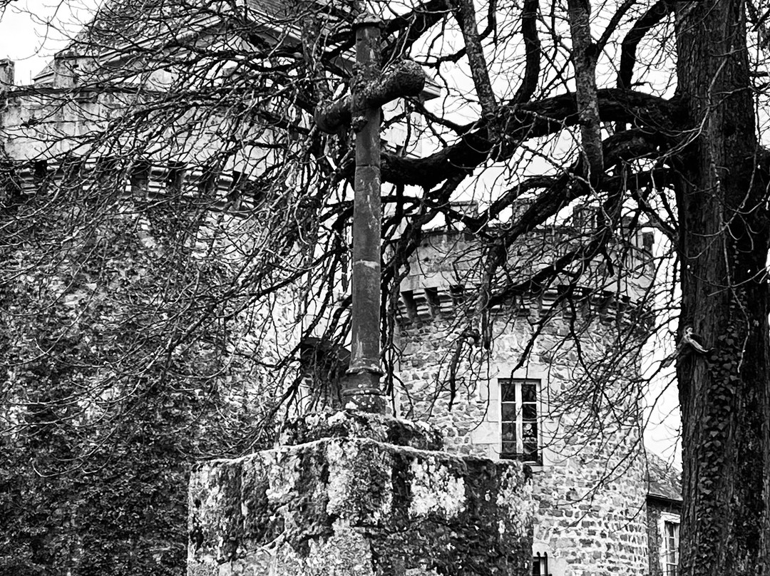 Chateau de Busset景点图片