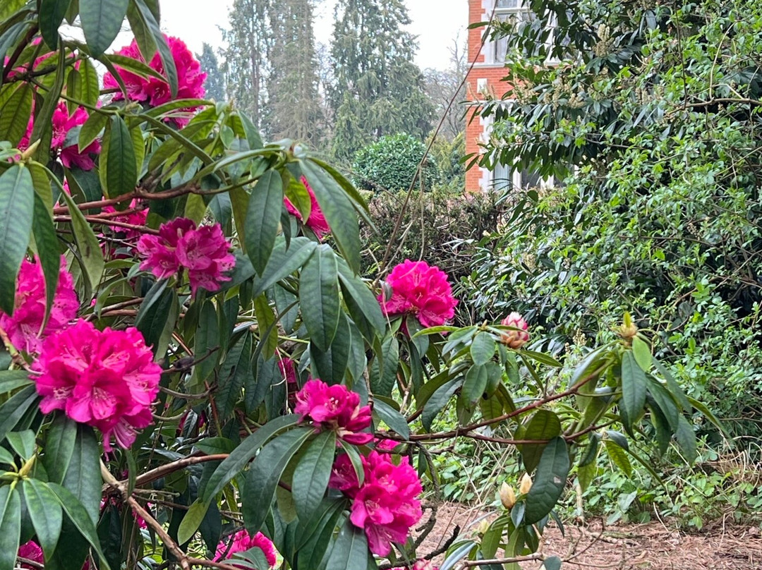 Chorleywood House Estate-Chorleywood必去景点