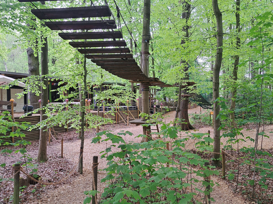 Kletterwald Freischütz景点图片