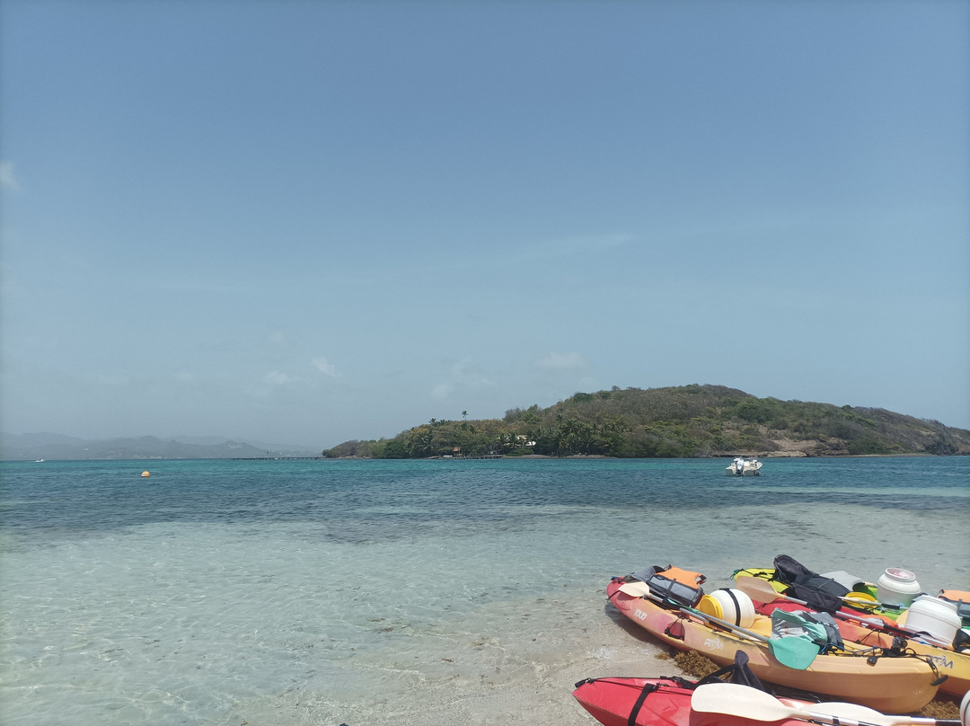 Les Kayaks des Ilets du Francois-Le Francois必去景点