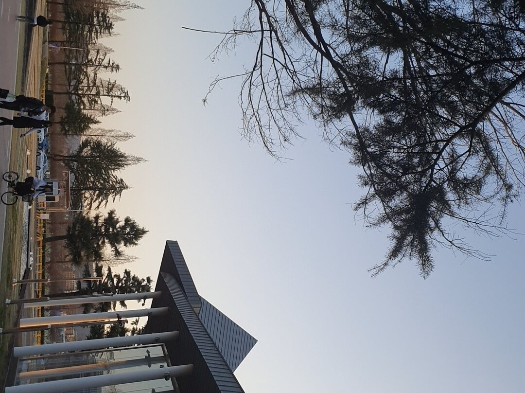 Yeungnam University Love Road景点图片